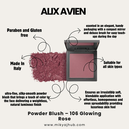 ALIX AVIEN POWDER BLUSH-PB106